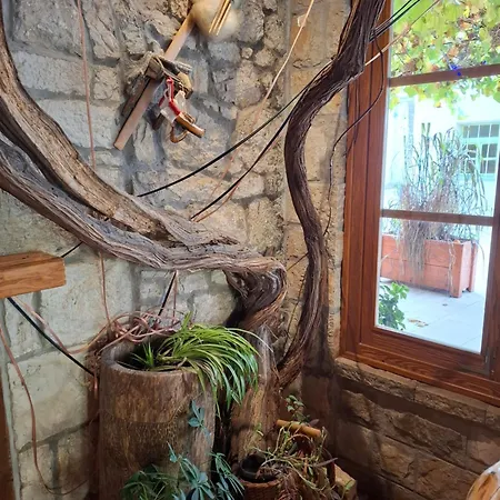 Ras Stari Grad Bed & Breakfast