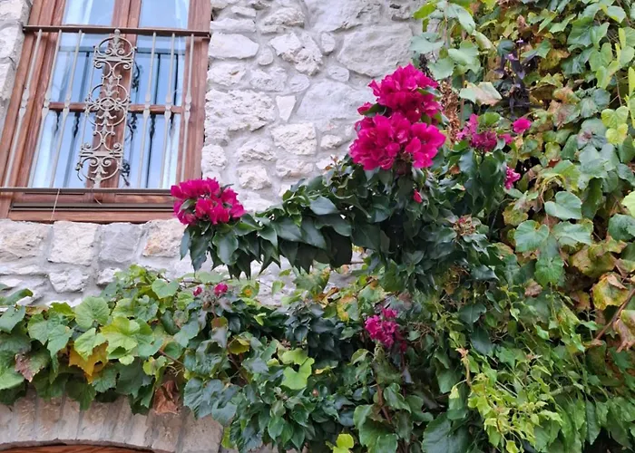 Ras Stari Grad Bed & Breakfast Trebinje