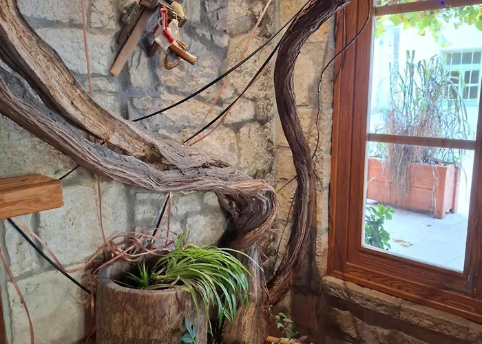 Ras Stari Grad Bed & Breakfast